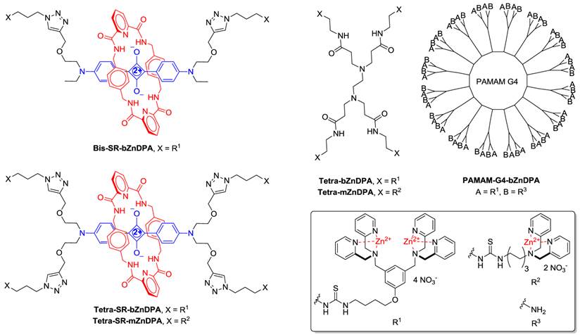 Theranostics Image