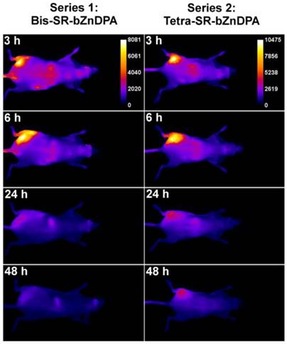 Theranostics Image