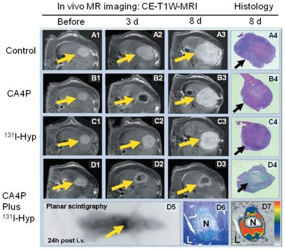 Theranostics Image