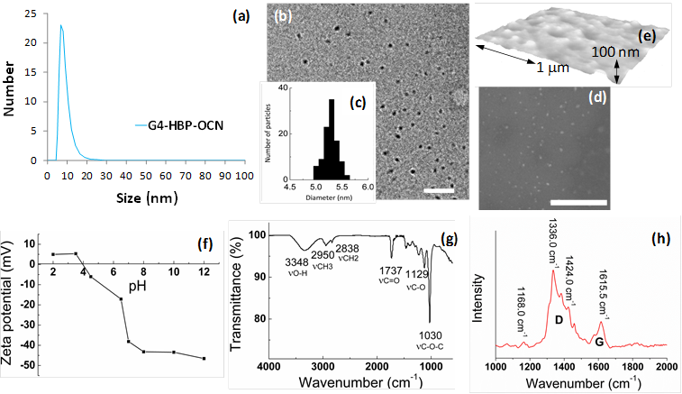 Theranostics Image