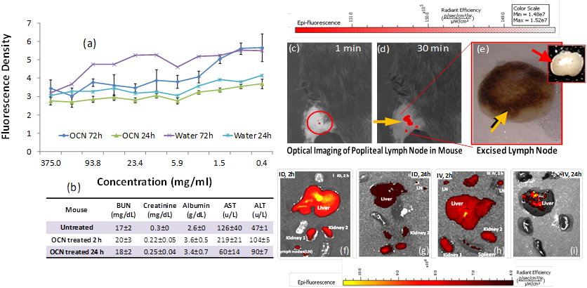 Theranostics Image