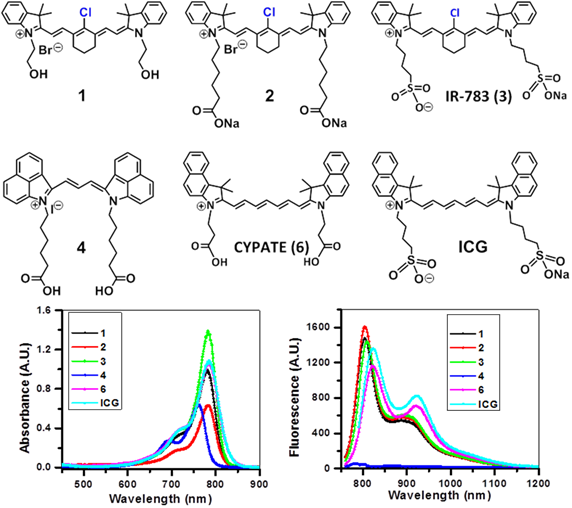 Theranostics Image