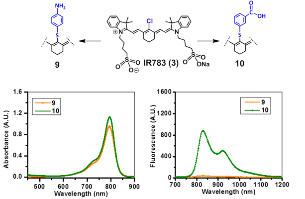 Theranostics Image