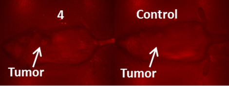 Theranostics Image