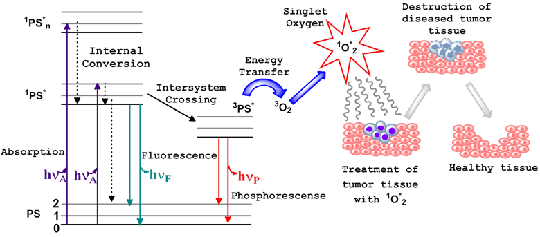 Theranostics Image