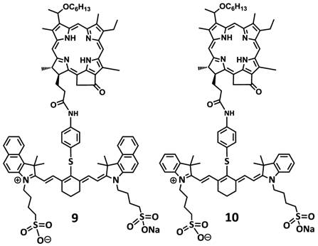 Theranostics Image