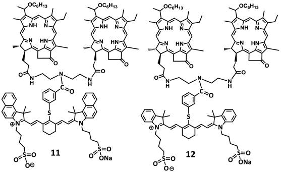 Theranostics Image