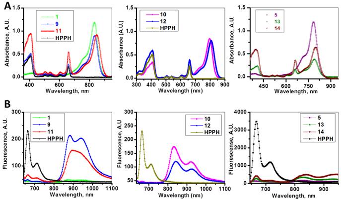 Theranostics Image