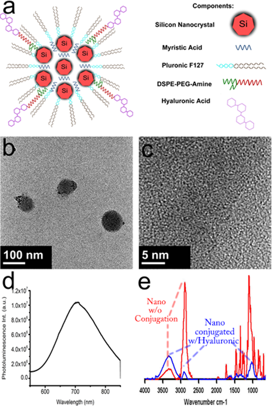 Theranostics Image