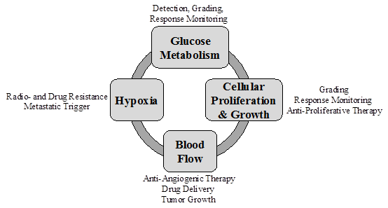 Theranostics Image