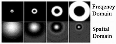 Theranostics Image