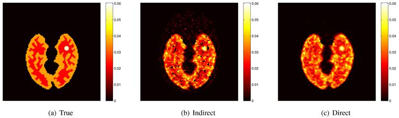 Theranostics Image