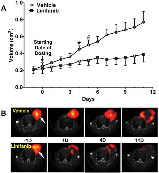 Theranostics Image