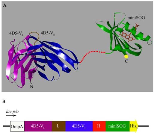 Theranostics Image