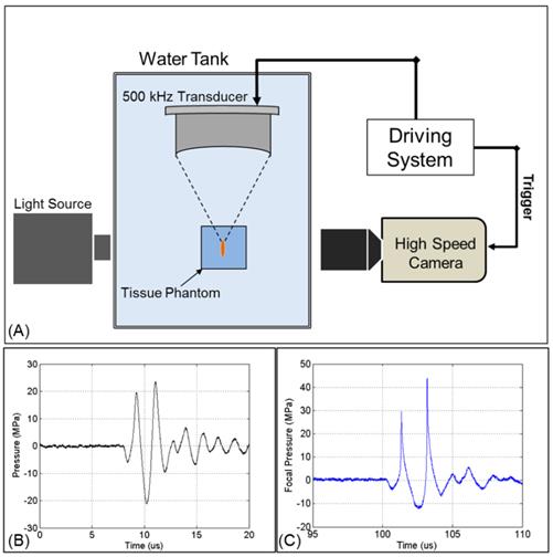 Theranostics Image