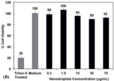 Theranostics Image