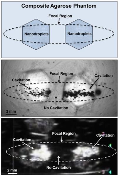 Theranostics Image