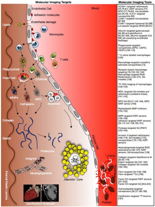 Theranostics Image