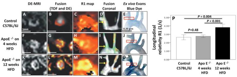 Theranostics Image