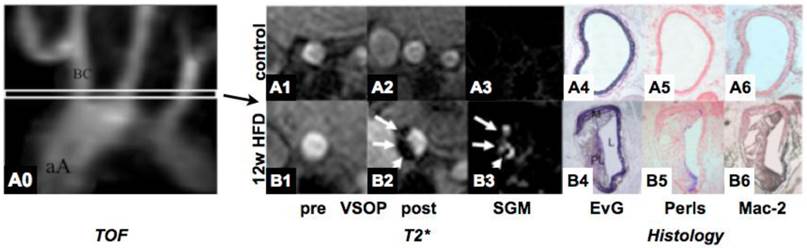 Theranostics Image