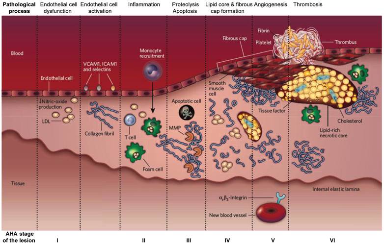 Theranostics Image