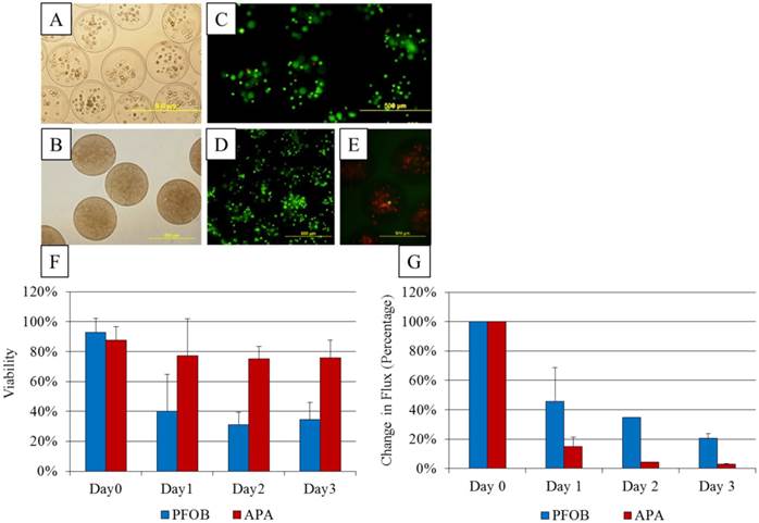 Theranostics Image