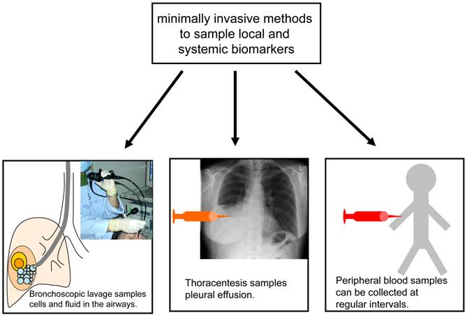 Theranostics Image