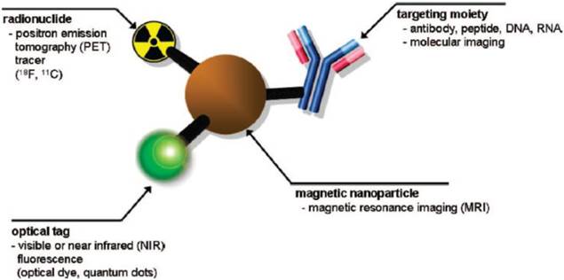 Theranostics Image