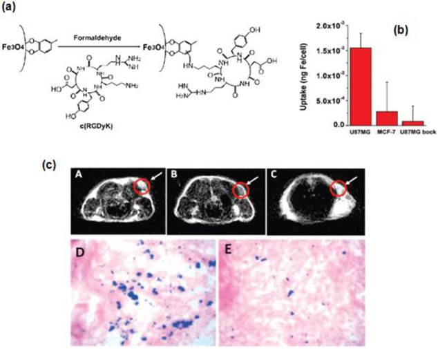 Theranostics Image