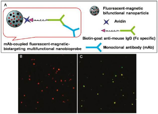 Theranostics Image