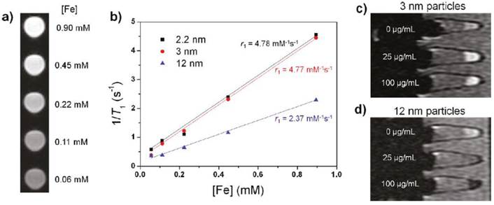 Theranostics Image