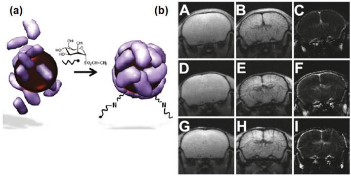 Theranostics Image