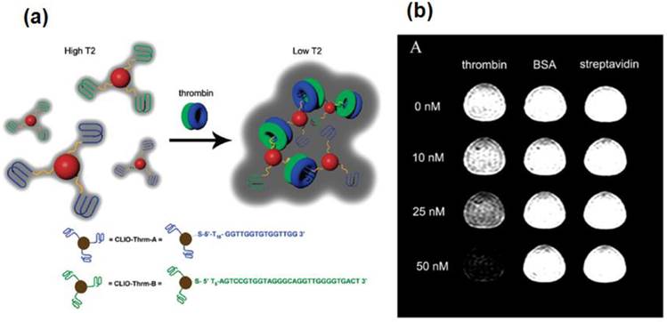 Theranostics Image