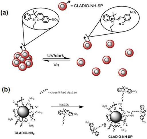 Theranostics Image