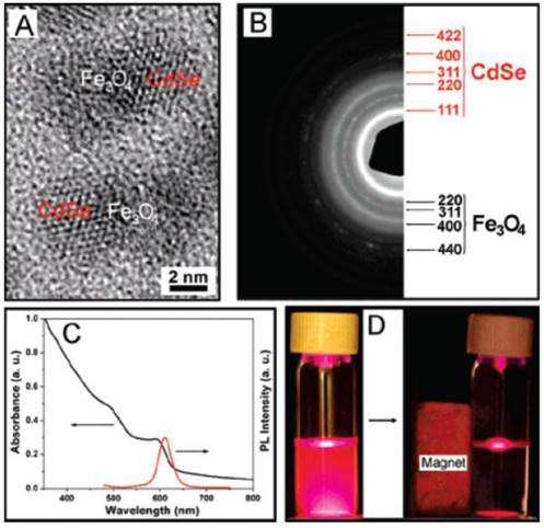 Theranostics Image