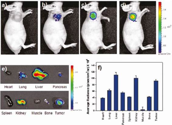 Theranostics Image