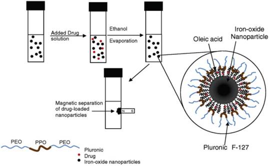 Theranostics Image