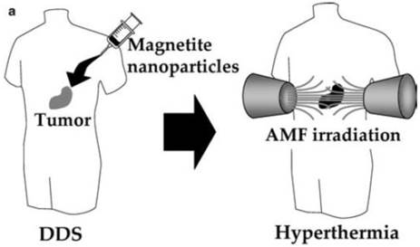 Theranostics Image