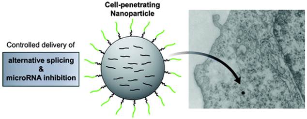 Theranostics Image