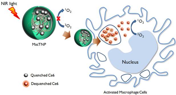 Theranostics Image