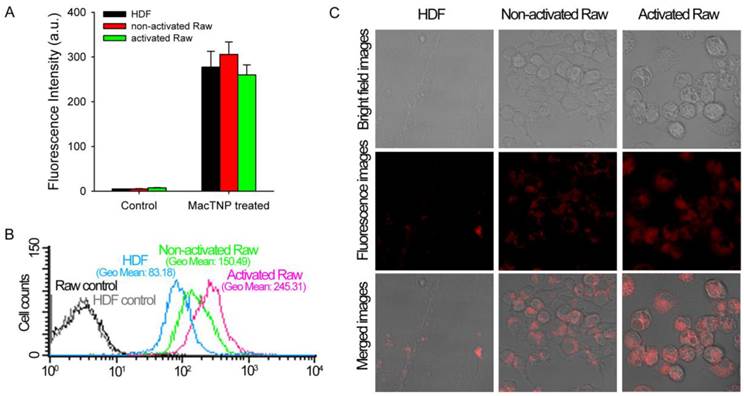 Theranostics Image