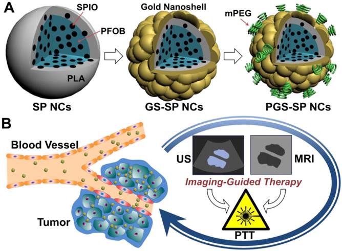 Theranostics Image