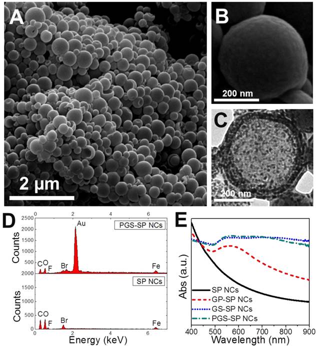 Theranostics Image