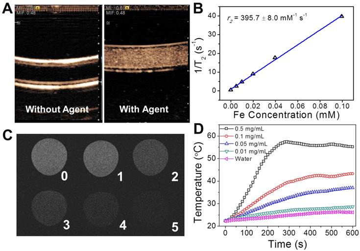 Theranostics Image