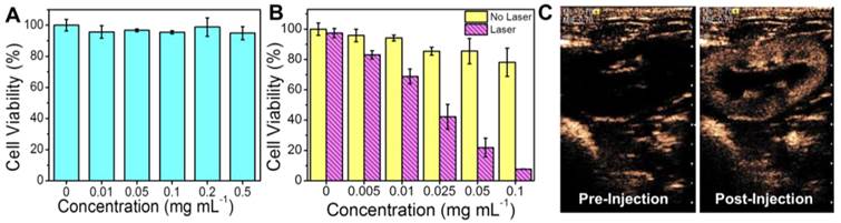 Theranostics Image