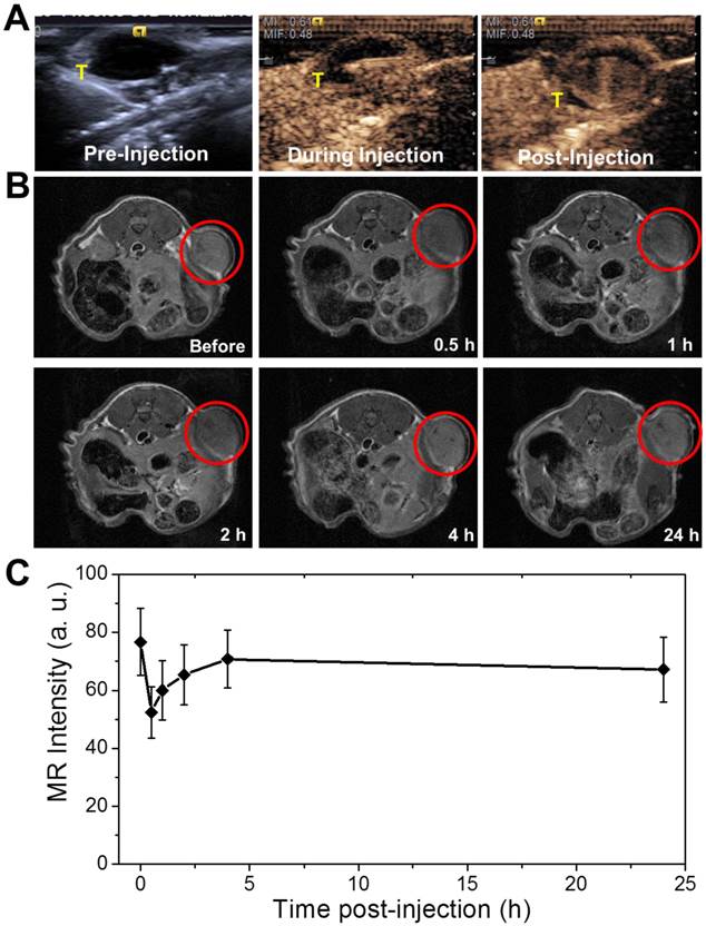 Theranostics Image