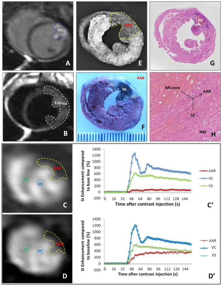 Theranostics Image