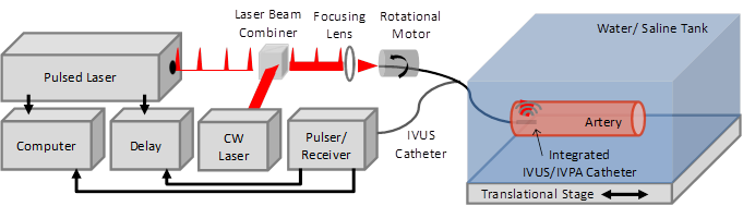 Theranostics Image