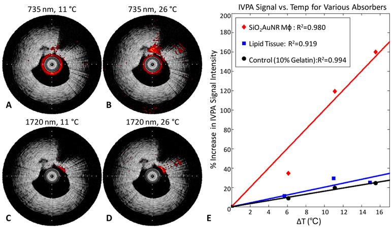 Theranostics Image