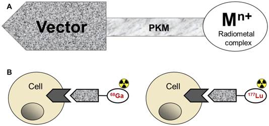 Theranostics Image